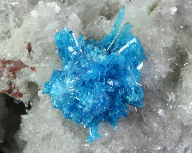 Vibrant Blue Cavansite Cluster on Stilbite - India #67787
